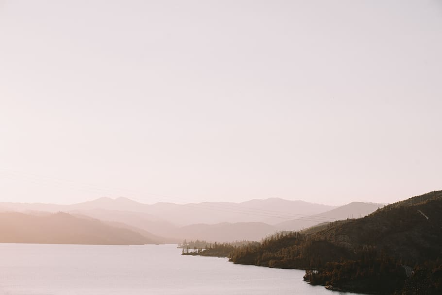forest near lake, whiskeytown lake, united states, outdoors, coast HD wallpaper