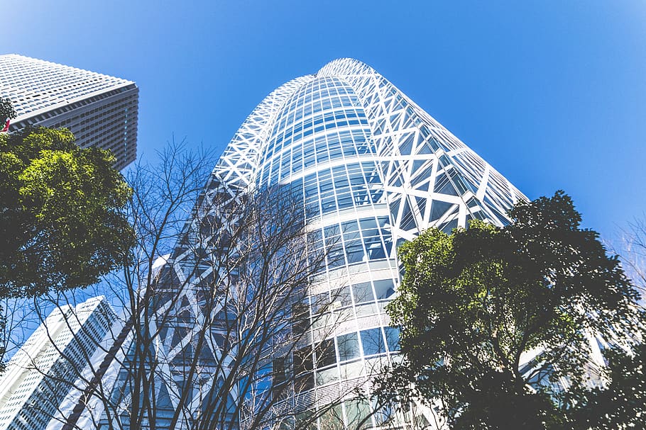 japan, tokyo, iron, tree, building, skyscraper, city, architecture HD wallpaper