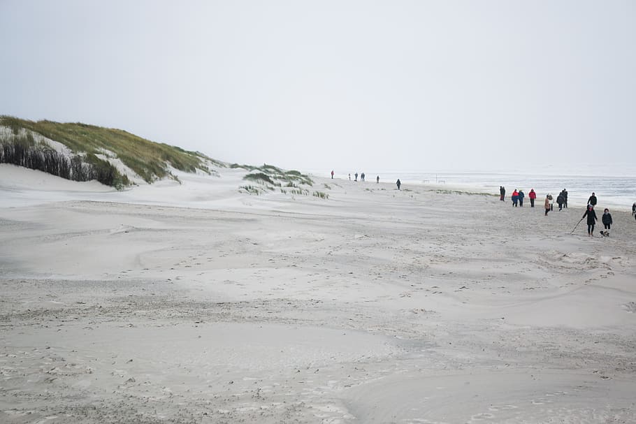 germany, juist, land, beach, nature, day, sky, group of people HD wallpaper