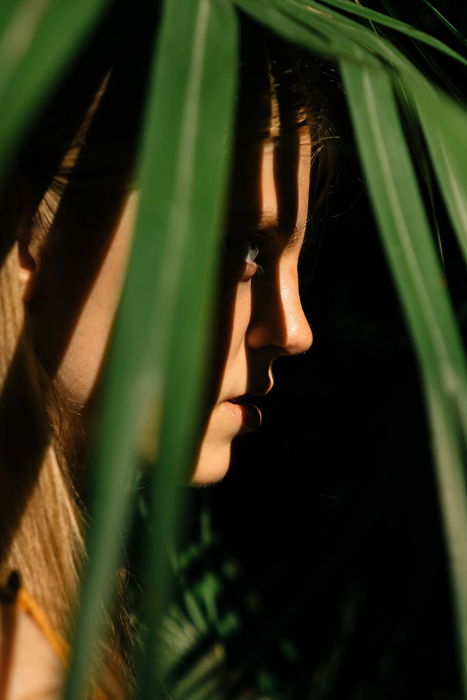 woman hiding trees, conifer, plant, flora, grass, leaves, shadows HD wallpaper