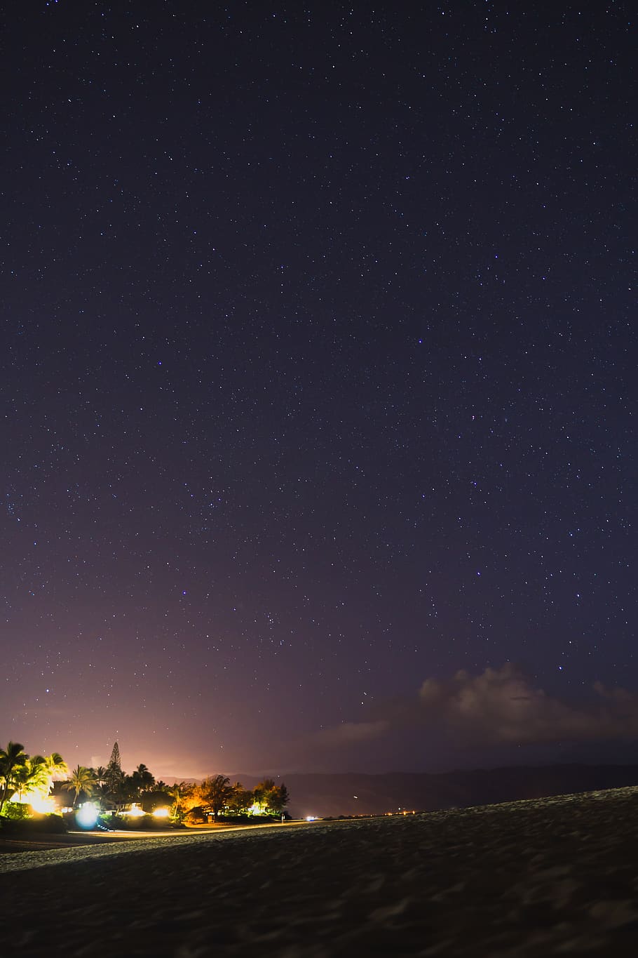 stars, trees, starry night, beach, water, ocean, honolulu, oahu HD wallpaper