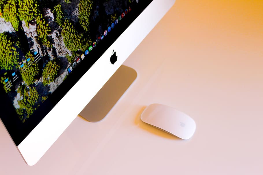 turned-on silver iMac beside Apple Magic Mouse, no people, plant HD wallpaper
