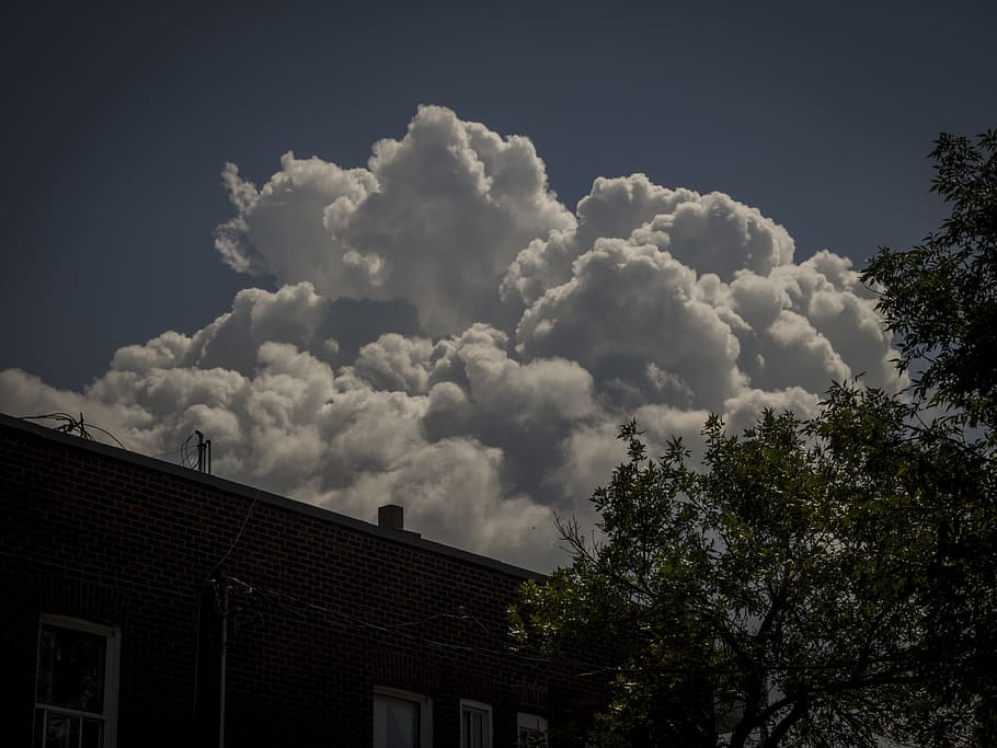 weather, nature, cumulus, sky, cloud, outdoors, storm, fluffy HD wallpaper