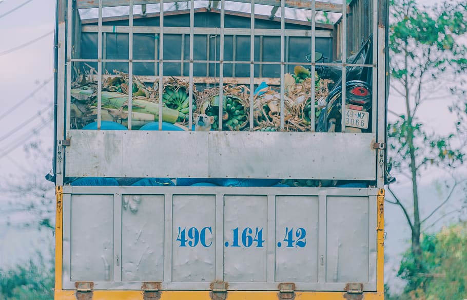 Gray and Yellow Metal Garbage Bin, building, color, daylight HD wallpaper
