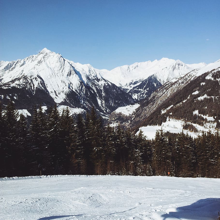 cold, aplines, snowboard, skiing, forest, sun, rocks, winter HD wallpaper