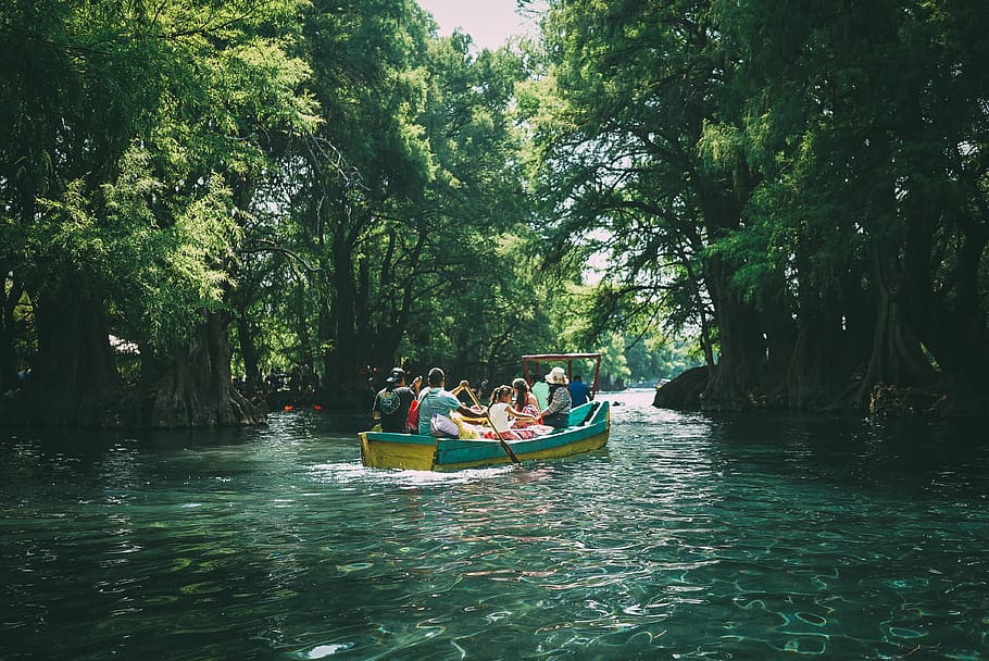 People in Boat Surrounded by Trees, lagoon, leisure, motion, nature HD wallpaper