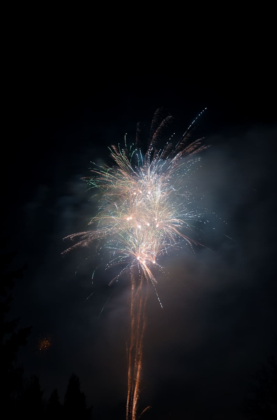 fireworks display, nature, outdoors, night, riederich, germany HD wallpaper