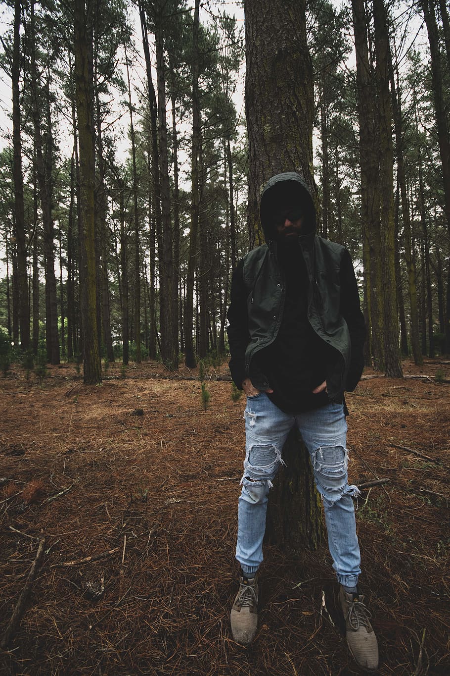 forrest, modelling, dark, male, swag, land, forest, tree, one person HD wallpaper