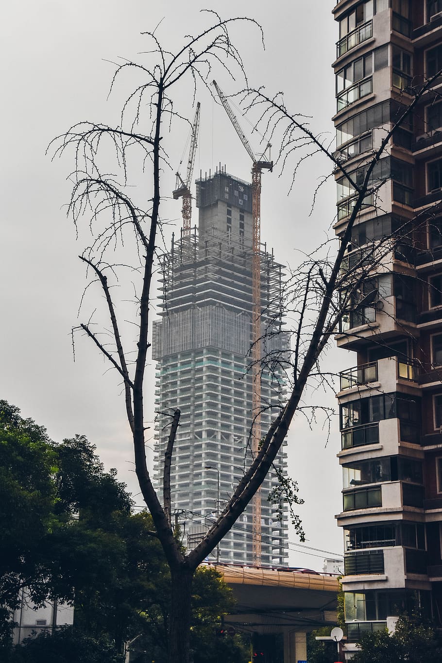 pollution, humanization, deforestation, builing, construction HD wallpaper