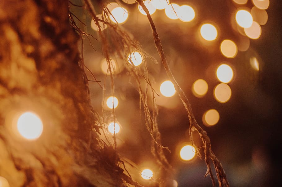 illuminated, christmas, holiday, decoration, lighting equipment HD wallpaper