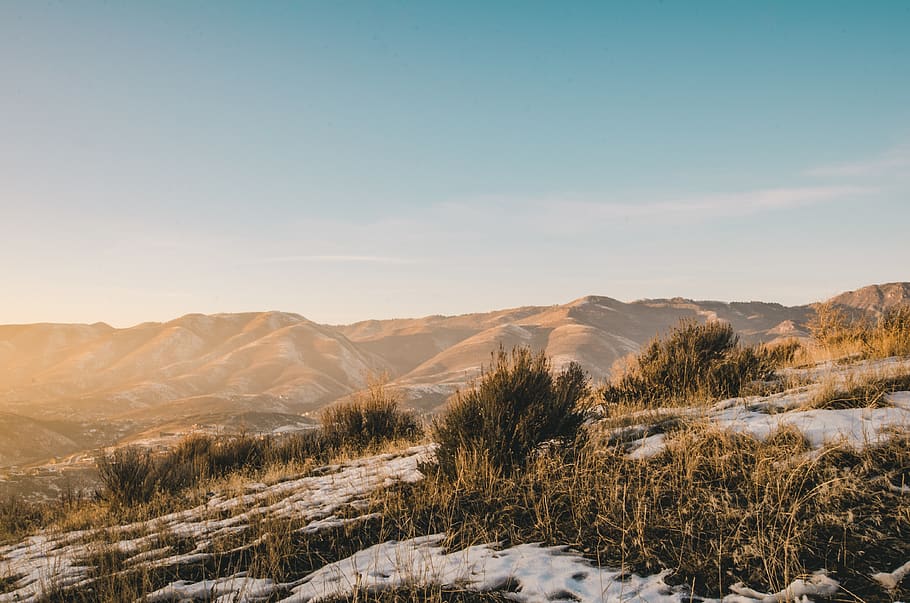 mountains, mountain range, outdoor, wilderness, sunset, bush HD wallpaper