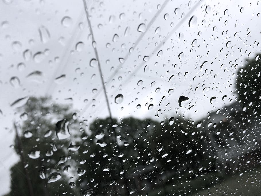 drop, wet, water, glass - material, rain, window, transparent HD wallpaper