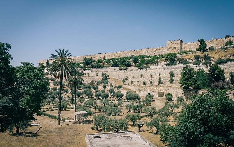israel, jerusalem, hill, gate, olive trees, kidron, kidron valley, HD wallpaper