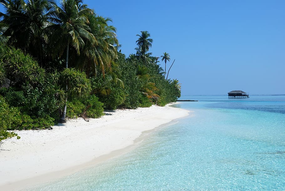 Hình nền HD của Maldives, Medhufushi Island Resort, biển trong, biển... Sự đẹp đến khó tả của hòn đảo Maldives sẽ làm bất kỳ người nào chú ý đến những hình ảnh nền đẹp của nó. Với màu nước biển trong và bờ cát trắng tinh khôi, bạn sẽ khiến mọi người ngưỡng mộ.