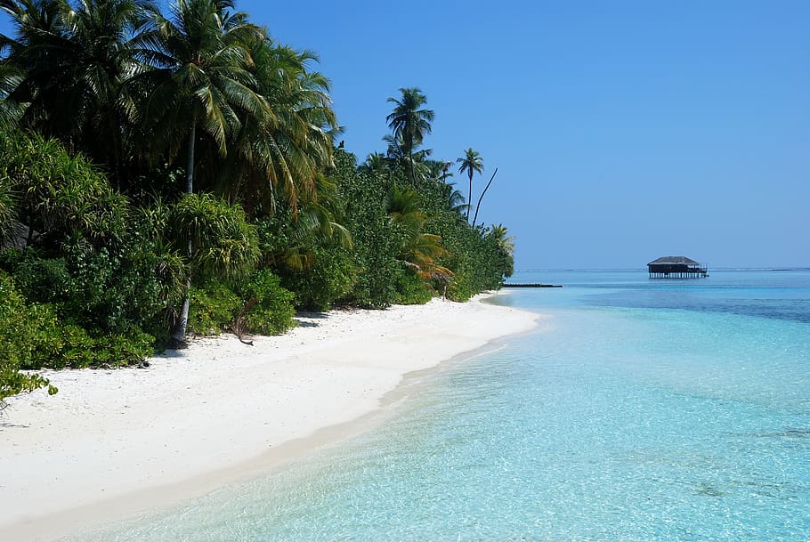 Hình nền Maldives Medhufushi Island Resort: Hãy chiêm ngưỡng vẻ đẹp của Maldives Medhufushi Island Resort với hình nền độc đáo này. Bạn sẽ được trải nghiệm những giây phút thư giãn trọn vẹn trên những bãi biển tuyệt đẹp, những điểm đến thú vị và những trải nghiệm khó quên. 