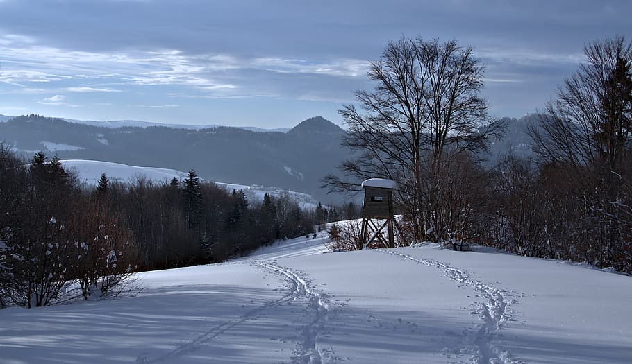 winter, forest, mountains, traces, shed, hunting, snow, cold HD wallpaper