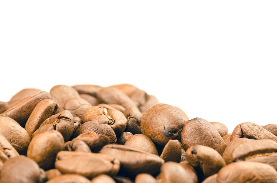 Selective Focus Photography of Coffee Beans, aroma, background HD wallpaper