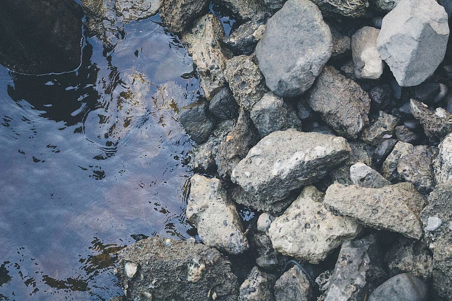 water, rocks, river, shells, shore, downtown, wilmington, north carolina HD wallpaper
