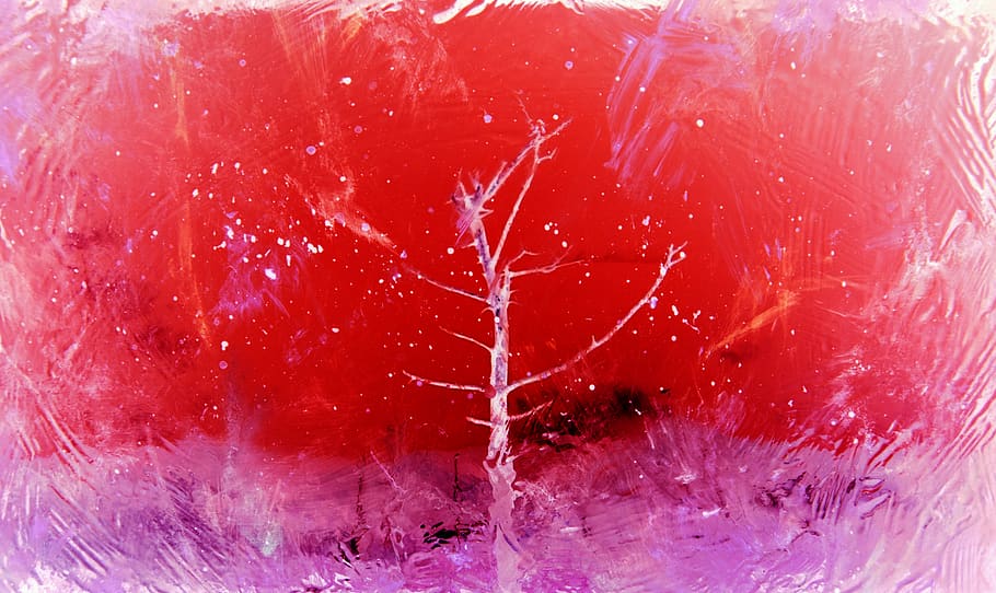 red, no people, close-up, indoors, abstract, nature, backgrounds HD wallpaper