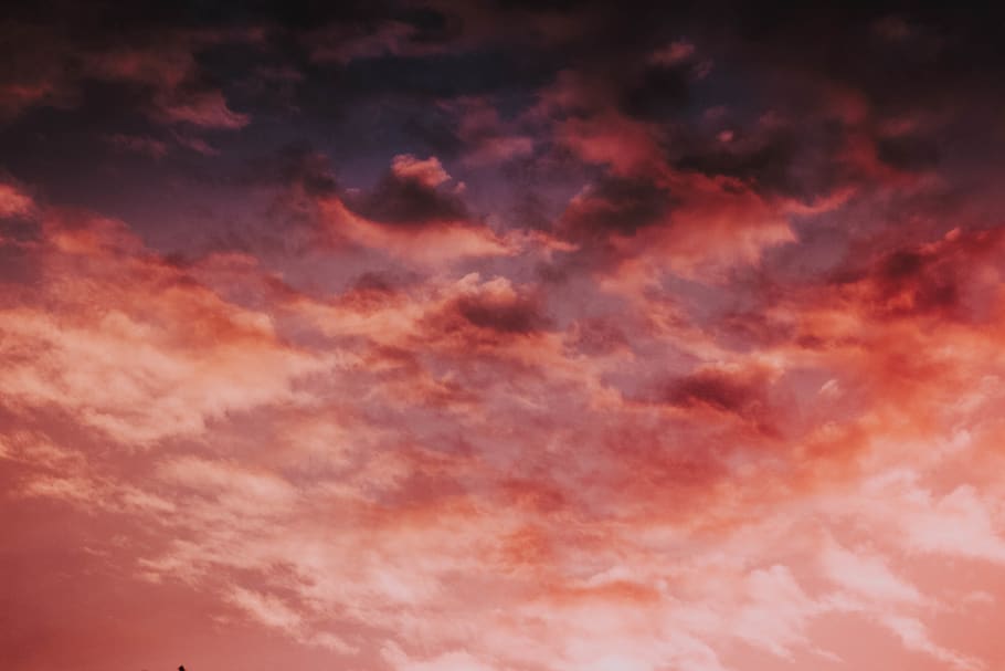 sunrise, fly, sky, cloud, dark, storm, pink, nature, looking up, HD wallpaper