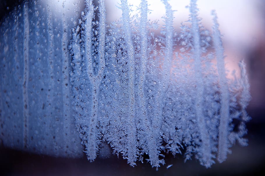 hardest, frost, window, cold, ze, water, frozen, ice, eiskristalle HD wallpaper