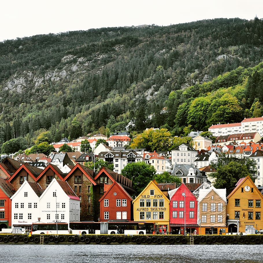 house, building, architecture, roof, travel, fjord, culture HD wallpaper