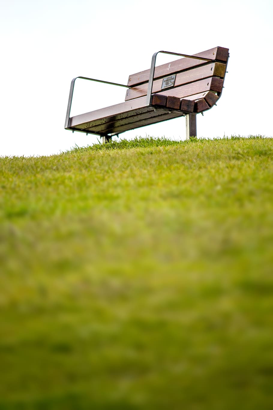 selective focus photography of bench on grss, billboard, grass HD wallpaper