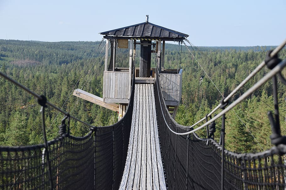 suspension bridge, view, landscape, sky, nature, sweden, forest HD wallpaper