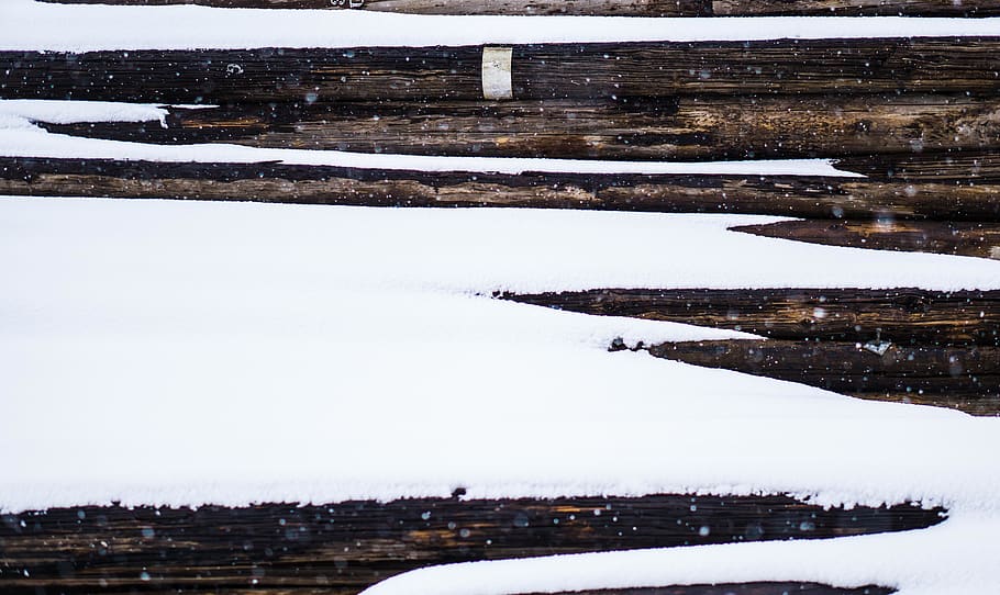wood, snow, winter, cold temperature, nature, white color, day HD wallpaper