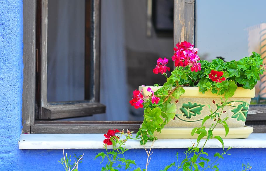turkey, window, flowers, blue, mediterranean, view, flowering plant HD wallpaper