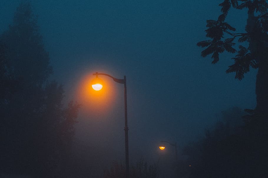 light, sky, sun, fog, sunrise, mist, night, sunlight, morning HD wallpaper