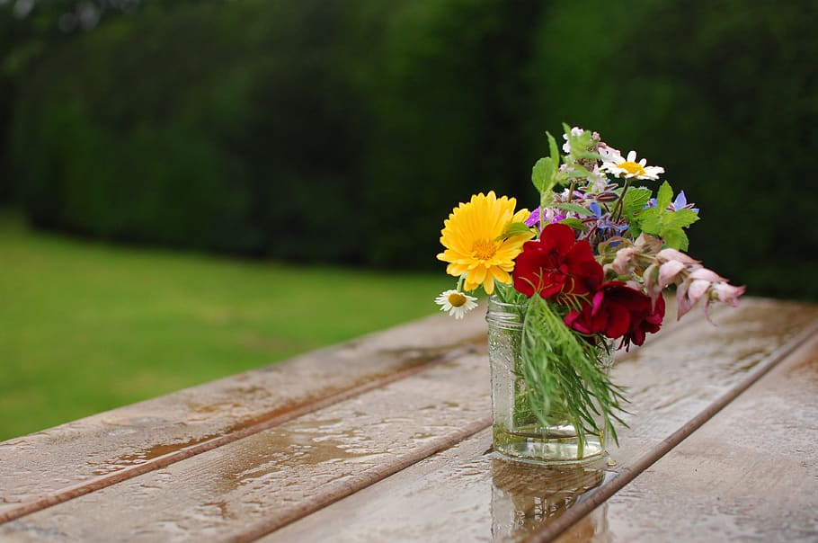 wooden, table, water, rain, colorful, flowers, vase, glass HD wallpaper