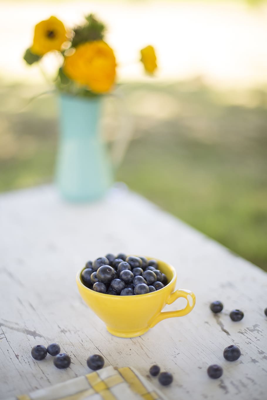 blueberries, summer, yellow, freshness, flower, flowering plant HD wallpaper