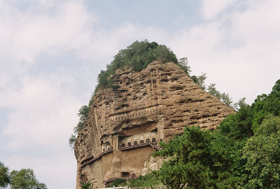 mountai, grotto, buddha statues, plank, travel, tree, plant, HD wallpaper