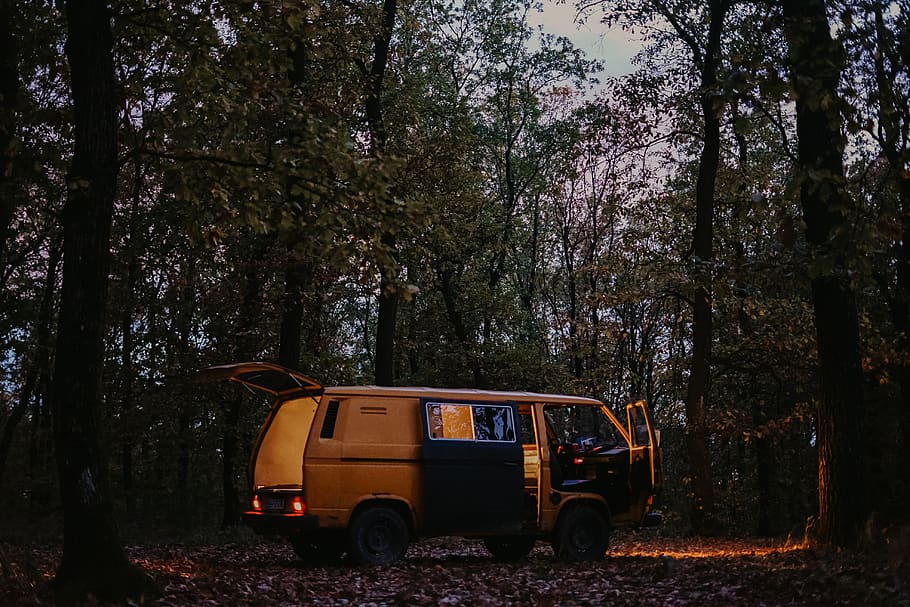 open brown van in forest, tree, plant, mode of transportation HD wallpaper