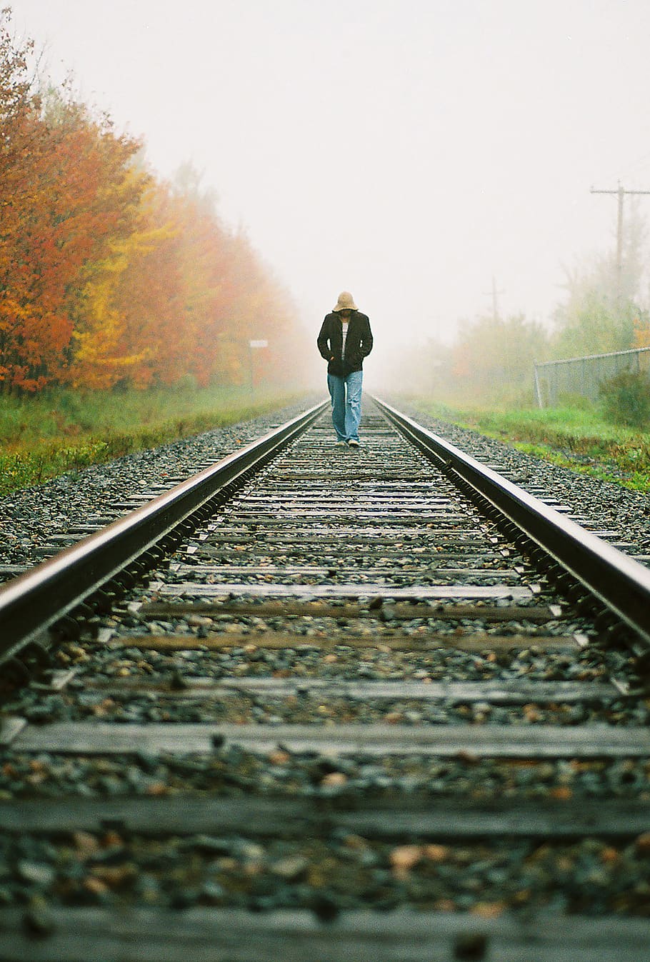 canada, quebec, man, walking, fog, morning, train, moody, adventure HD wallpaper