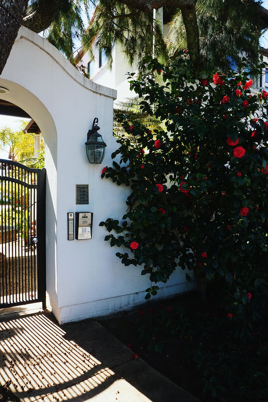 santa cruz, gate, light, mexican, mexico, shadow, shadows, roses, HD wallpaper