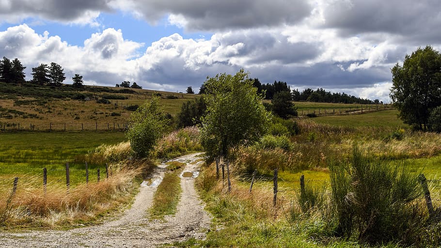path, lozère, field, nature, landscape, sky, green, outdoor HD wallpaper