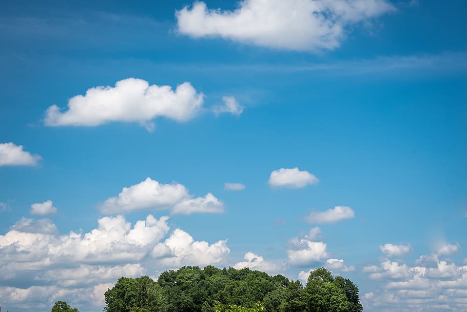 croatia, zagreb, cloud - sky, tree, beauty in nature, plant HD wallpaper