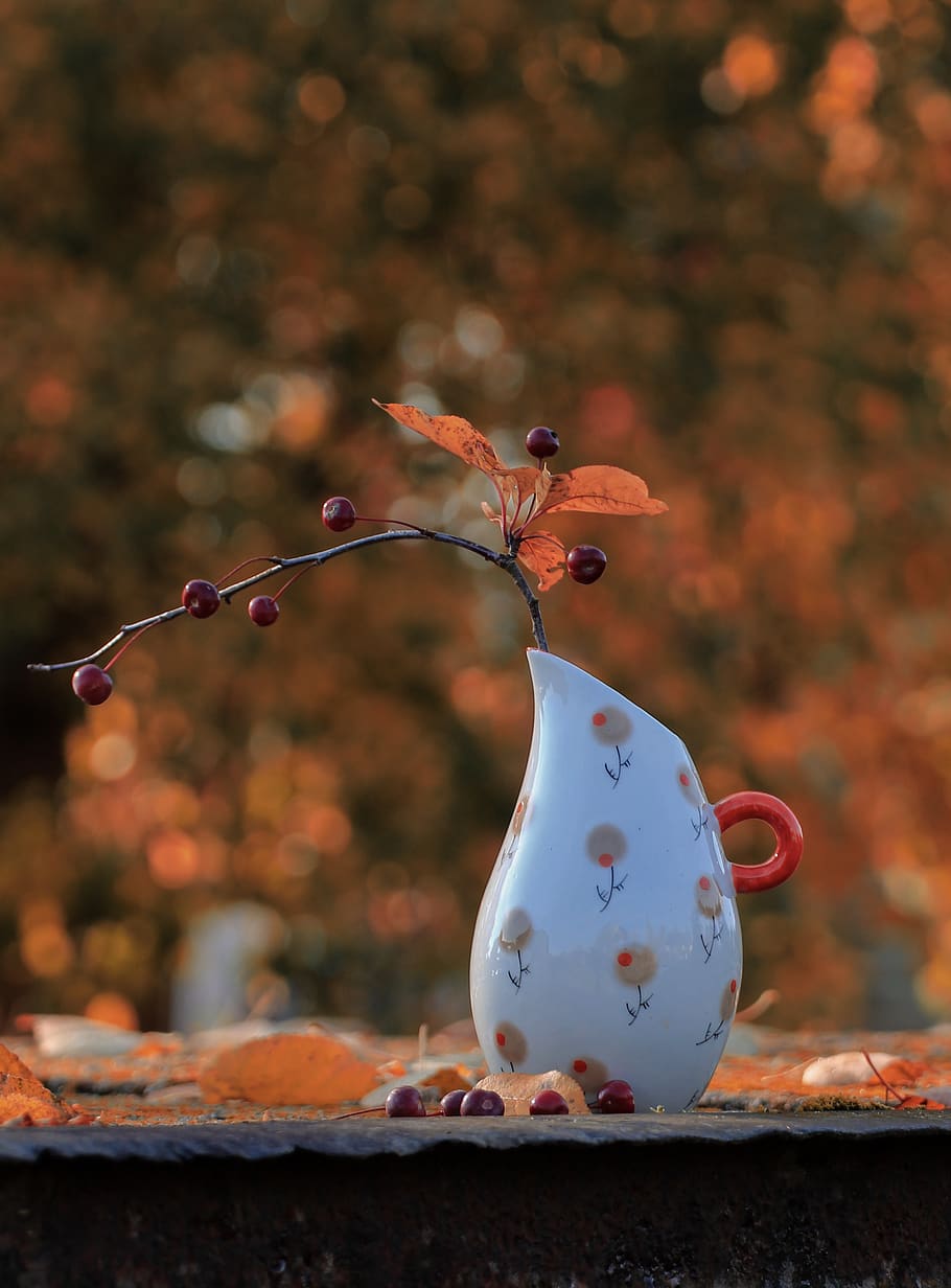 Red Holly Berries in White Vase, blurred background, close-up HD wallpaper