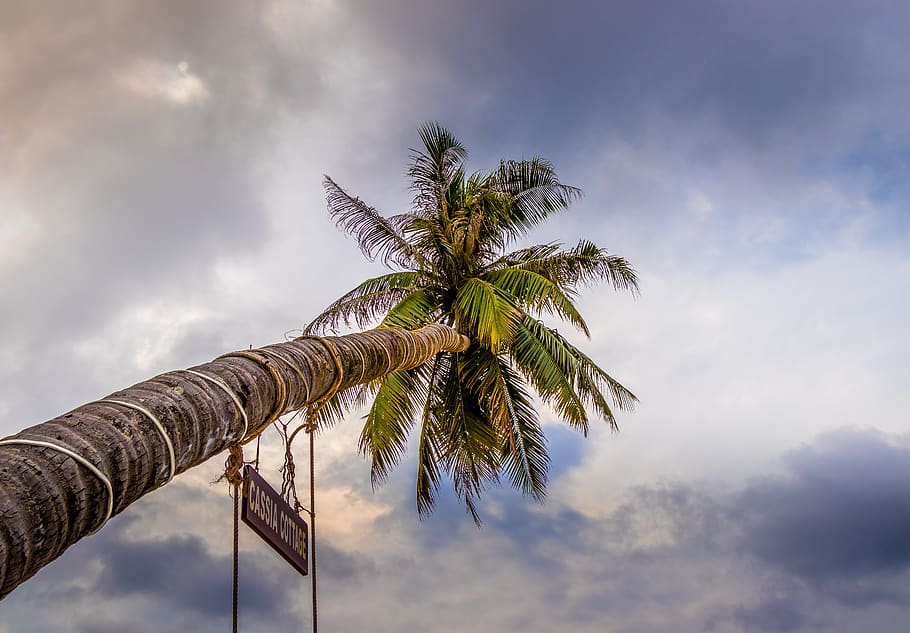 vietnam, beach, sky, landscape, travel, light, summer, color HD wallpaper