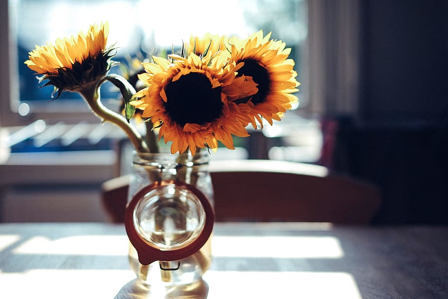 blur, sunny, flower, table, chair, glass, jar, flowering plant HD wallpaper