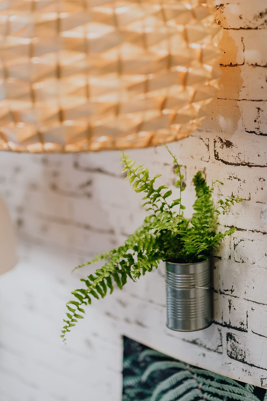 Details of modern interior with green plants, flora, contemporary HD wallpaper