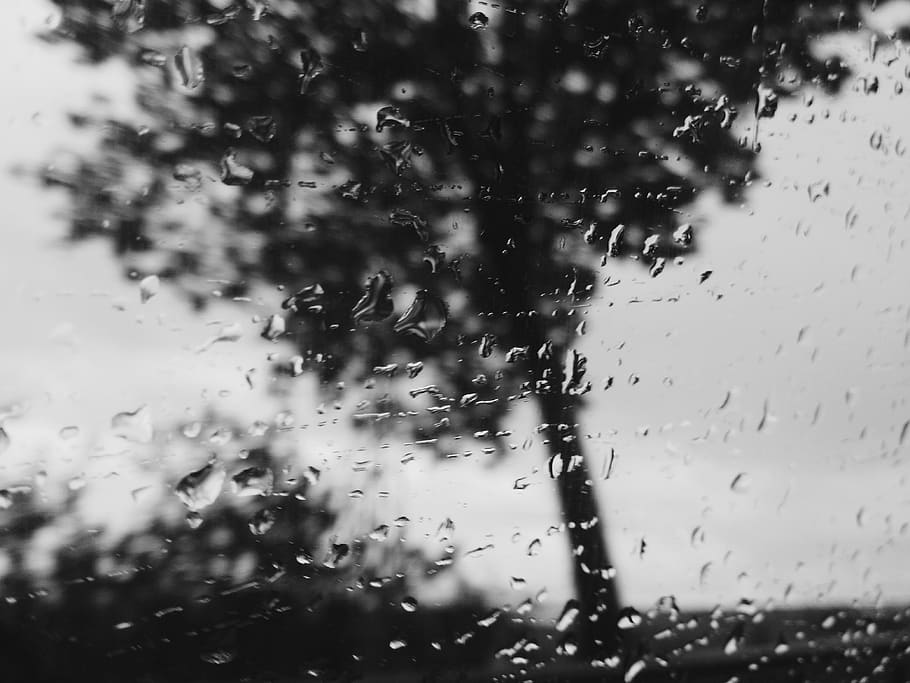 drop, blackandwhite, wet, water, rain, transparent, glass - material HD wallpaper
