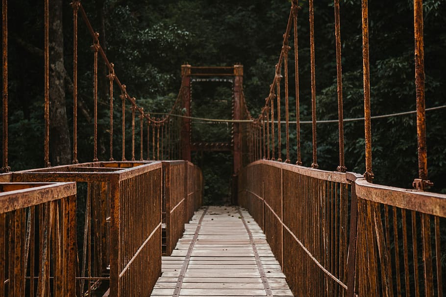 brown hanging bridge surrounded by trees, direction, forest, the way forward HD wallpaper