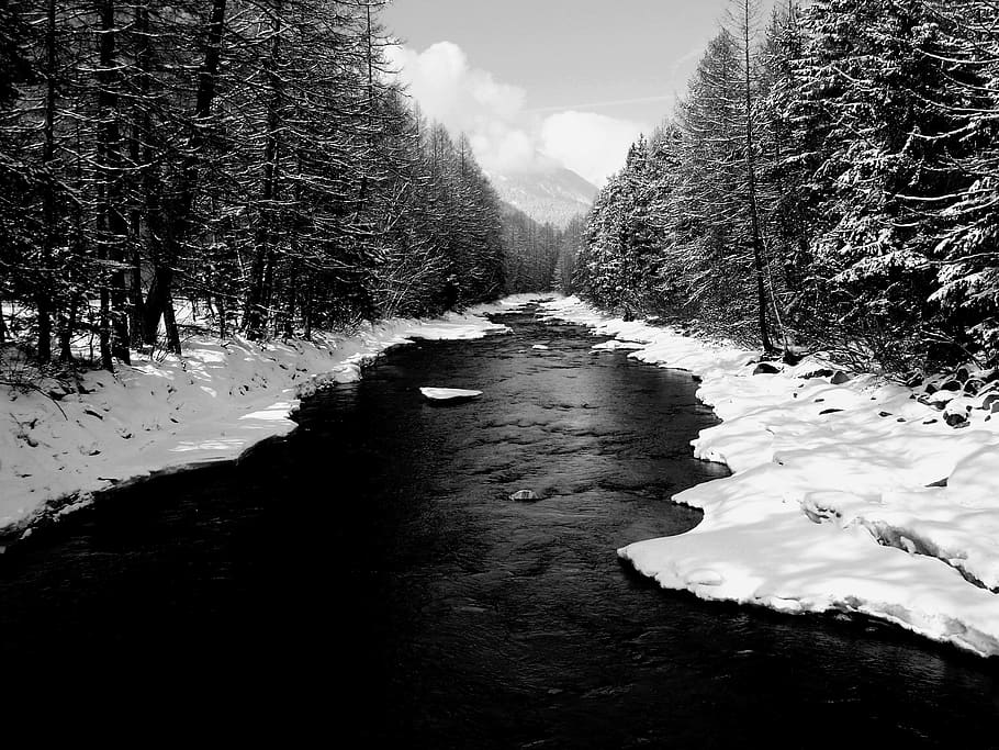river, snow, trees, horizon, nature, landscape, winter, mountains HD wallpaper