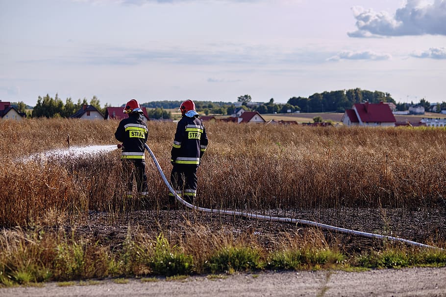 fire, field, anxiety, ash, burned, the destruction of the, fire department HD wallpaper