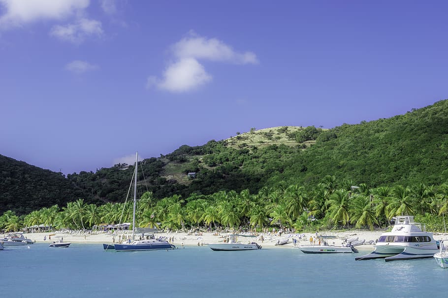 beach, trees, sky, happy, travel, boats, sea, nature, wallpaper HD wallpaper