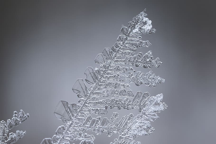 ice leaf, snowflake, mongolia, ulaanbaatar, wedding cake, dessert HD wallpaper