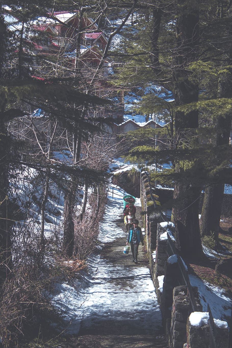 People Walking Along Pathway, environment, snow, trees, plant HD wallpaper